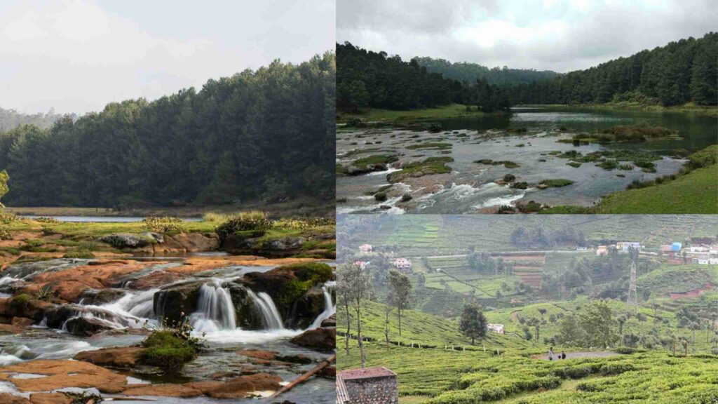 low budget tourist places in tamilnadu 2024-25: तमिलनाडु मे घूमने के लिए सबसे सस्ती जगहे